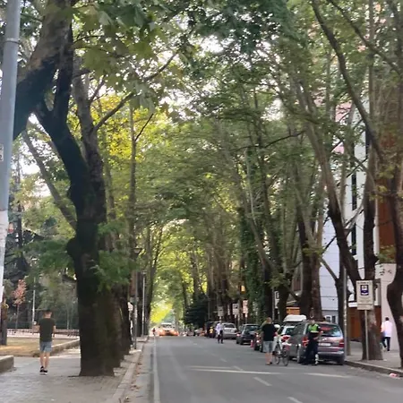 Appartement New Apartament *