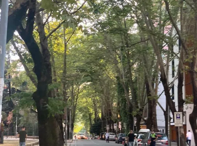 Apartamento New Apartament *